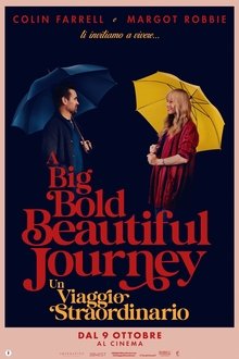 A Big Bold Beautiful Journey - Un viaggio straordinario