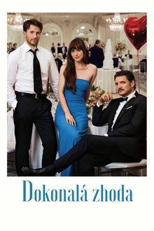 Dokonalá zhoda